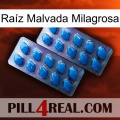 Raíz Malvada Milagrosa viagra2